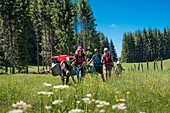 Frankreich, Jura, Prenovel, Familie beim Trekking mit einem Esel in den blühenden Wiesen des Juragebirges