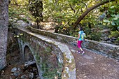 Greece, Cyclades archipelago, Andros island, hike number 2 between Chora and Vourkoti, stone bridge in Apikia