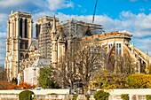 France, Paris, Ile de la Cite, Notre Dame Cathedral in autumn