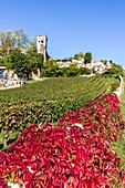 Frankreich, Gironde, Saint-Émilion, von der UNESCO zum Weltkulturerbe erklärt, Weinberg von Bordeaux, Weinbergslandschaft AOC Saint-Emilion