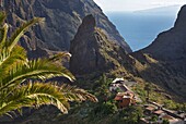 Spanien, Kanarische Inseln, Insel Teneriffa, Masca, Dorf Masca auf dem Kamm einer offenen Schlucht am Meer