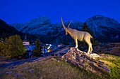 France, Savoie, Mountain of Vanoise, Pralognan la Vanoise, a bronze ibex, emblem of the station dominates the village at dusk and the summit of the great Marchet