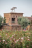 Morocco, Marrakesh, Beldi Country Club, Story: Fairytale rose garden