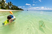 Seychelles, La Digue Island, child observing the Platax fish (Platax orbicularis) on the beach of Anse de la Reunion