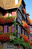 France, Bas Rhin, Obernai, Place de l'étoile, Zum Schnogaloch hotel restaurant