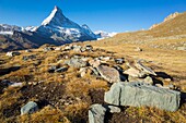 Switzerland, Valais, Zermatt valley, hiking on Hohbalmen mountains