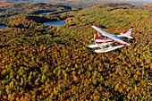 Kanada, Provinz Quebec, Region Mauricie, Flug mit der Firma Hydravion Aventure im Altweibersommer, Cessna 206 über dem borealen Wald (Luftaufnahme)