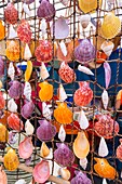 Mauritius, Rodrigues island, Port-Mathurin, saturday market, local handicraft