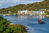 Ireland, County Galway, Clifden, harbour at low tide