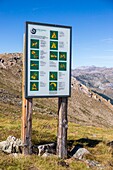 Frankreich, Alpes-Maritimes, Nationalpark Mercantour, Regeltafel des Nationalparks auf dem Col du Fer (2584 m)