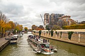 France, Paris, area listed as World Heritage by UNESCO, the banks of Seine river in autumn , the Ile de la Cite, the Notre Dame cathedral in autumn