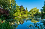 Frankreich, Eure, Giverny, die Gärten von Claude Monet in Giverny in der Normandie