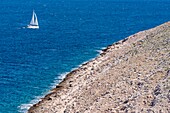 Croatia, Dalmatia, Sibenik Knin County, Dalmatian Coast, Kornati Islands National Park, Kornat Island, sailing boat