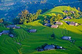 Vietnam, Ha Giang province, Hoang Su Phi, village of the La Chi ethnic group in the rice terraces