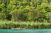 Kroatien, Mitteldalmatien, Gespanschaft Sibenik Knin, Nationalpark Krka