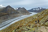 Switzerland, Valais, Aletsch region, home to largest glacier in the Alps, with 20km length