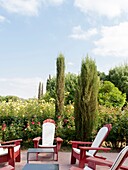 Morocco, Marrakesh, Beldi Country Club, Story: Fairytale rose garden