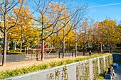 France, Paris, Eugenie Djendi garden in autumn