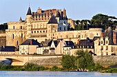 Frankreich, Indre et Loire, Loire-Tal, das von der UNESCO zum Weltkulturerbe erklärt wurde, die Loire-Kais und das Schloss von Amboise