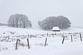 Frankreich, Puy de Dome, Bauernhof bei Picherande, Parc Naturel Regional des Volcans d'Auvergne (Regionaler Naturpark der Volcans d'Auvergne)