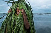 Papua-Neuguinea, Golfprovinz, Dorf Toare, traditionelles Fest namens Sing-Sing, Balzritual