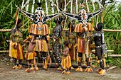 Papua New Guinea, Gulf Province, Toare Village, traditional festival called sing-sing, Hivi Hokore Mask and Pepe Cultural group