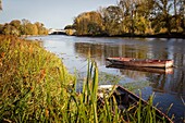 Frankreich, Indre et Loire, Loire-Tal als Weltkulturerbe der UNESCO, Tours, die Loire in Tours, Boot auf der Loire westlich der Stadt vertäut