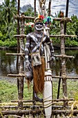 Indonesia, Papua, Asmat district, Per village, pole ceremony