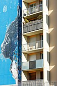 France, Paris, mural on the facade of an apartment building called Le Chat (The Cat) located in Boulevard Vincent Auriol by C215