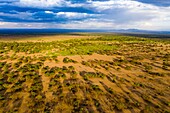 Kenia, Landschaft um den Magadi-See, Rift Valley (Luftaufnahme)