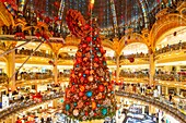 Frankreich, Paris, das Kaufhaus Galeries Lafayette zur Weihnachtszeit, der Weihnachtsbaum unter der Kuppel