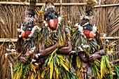 Papua New Guinea, Gazelle peninsula, New Britain island, East New Britain province, Rabaul, Kokopo, National Mask Festival, members a sing-sing group dressed like birds