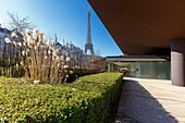 France, paris, the Museum of Quai Branly, the Eiffel tower and facades of apartment buildings