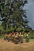 Papua New Guinea, Simbu Province, Kagaï village, Pagau tribe, traditional party called sing-sing