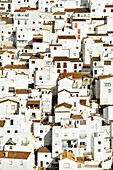 Spanien, Andalusien, Costa del Sol, Provinz Malaga, Casares, weißes Dorf im Hinterland (Pueblos blancos)