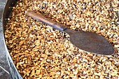 France, Correze, Ligneyrac, Moulin de la Vie Contee, preparation of the walnuts of the Perigord to be stone ground to make walnut oil from the Perigord (AOC)