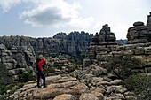 Spain, Andalusia, Costa del Sol, Malaga Province, Antequera, El Torcal natural reserve, rock formation listed as World Heritage by UNESCO