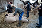 Switzerland, Valais, Evolene valley, Evolene, Carnaval with the Empailles and the Peluches who come from Pagan rites and go around the villages to frighten the bad spirits of winter