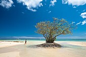 Mauritius, Bezirk Riviere Noire, Strand von Prairie