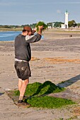 Frankreich, Somme, Baie de Somme, Le Hourdel, Fischer beim Entkörnen der Meerfenchelernte in der Baie de Somme