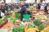 France, Correze, Brive la Gaillarde, Halle Georges Brassens, market, fruit and vegetable seller