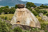 Spanien, Extremadura, Naturdenkmal Los Barruecos, Granitfelsen und Nester von Weißstörchen