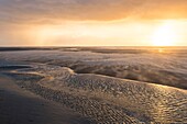 France, Somme, Baie de Somme, Quend-Plage, Stormy day at Quend-Plage: A strong wind sweeps the beach and makes the sand fly, while the lightning alternates with the grains