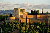 Spanien, Andalusien, Granada, der Alhambra-Palast, von der UNESCO zum Weltkulturerbe erklärt, erbaut zwischen dem 13. und 14. Jahrhundert von der Nasriden-Dynastie, islamische Architektur, im Hintergrund die Sierra Nevada