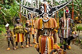 Papua New Guinea, Gulf Province, Toare Village, traditional festival called sing-sing, Hivi Hokore Mask and Pepe Cultural group