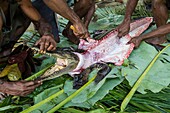 Papua-Neuguinea, Ost-Sepik-Provinz, Sepik River Region, Dorf Kanganamun, Haus der Geister (Haustambaran) namens Walimbi, Kochen eines Krokodils (Crocodylus novaeguineae)