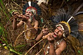 Papua New Guinea, Eastern Highlands Province, Goroka, Bena tribe, Neheya initiation called Dring Kol Wara (Drink Cold Water) during when mean swallow cane