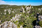 Frankreich, Cevennen-Nationalpark, Gorges de la Jonte, Luftaufnahme