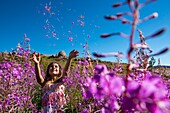 France, Ardeche, Parc Naturel des Monts d'Ardeche, Montselgues, fireweed