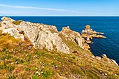 Frankreich, Finistère (29), Cornouaille, Cléden-Cap-Sizun, Pointe du Van, Diese felsige Landzunge westlich von Cap Sizun schließt den Norden der Baie des Trépassés ab, deren Süden durch die Pointe du Raz abgeschlossen wird